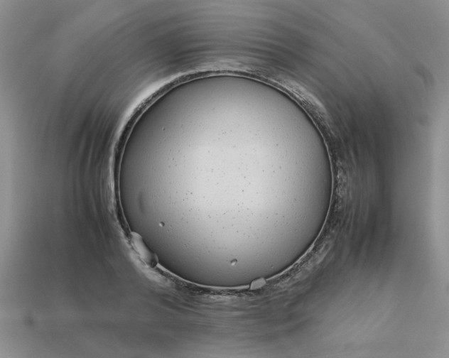 X0000113010792200909101816