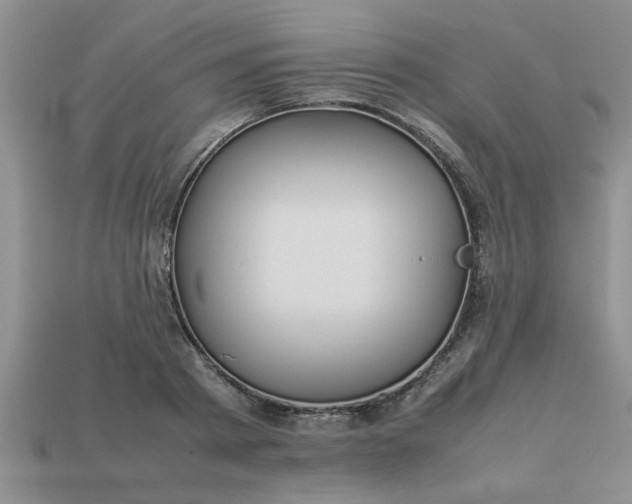 X0000113010793200909101816