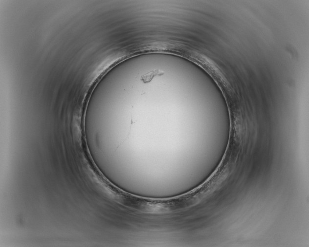 X0000113010794200909101816