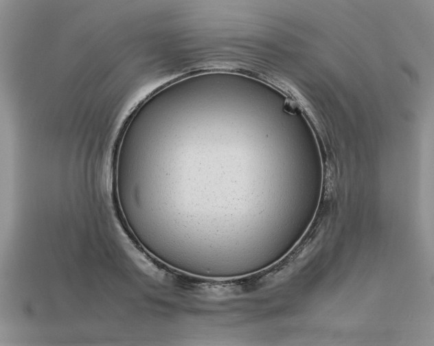 X0000113010795200909101816