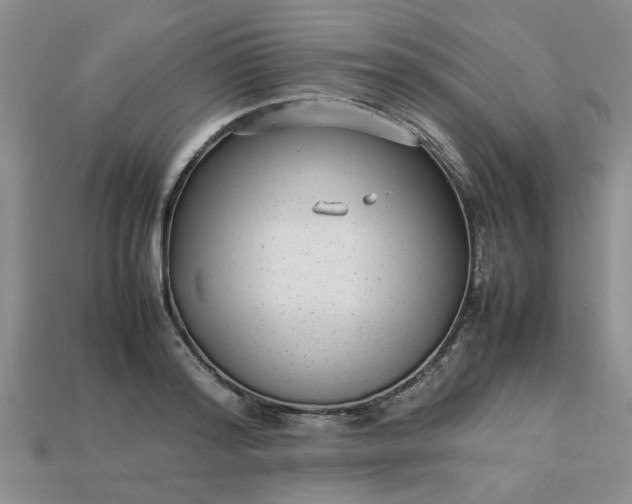 X0000113010796200909101816