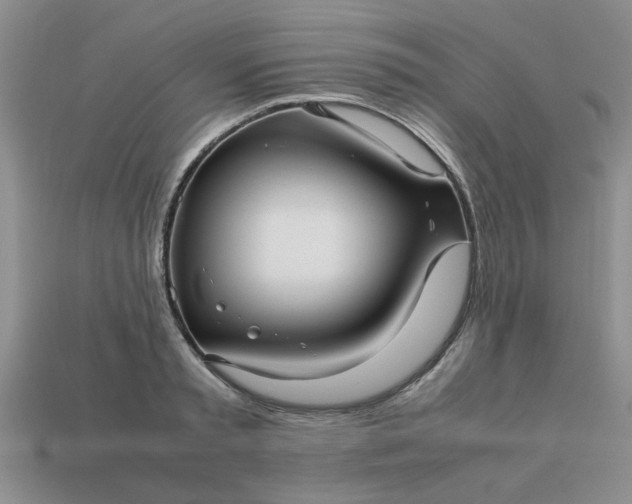 X0000113010797200909101816