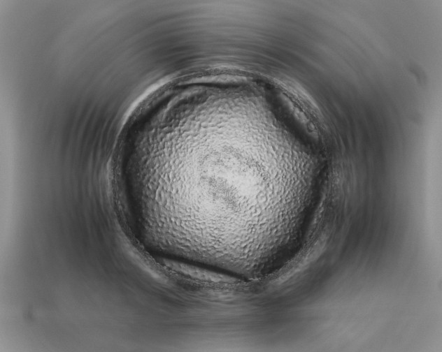 X0000113010798200909101816