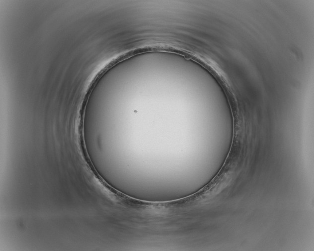 X0000113010799200909101816