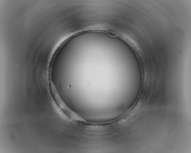 X0000113010800200909101816