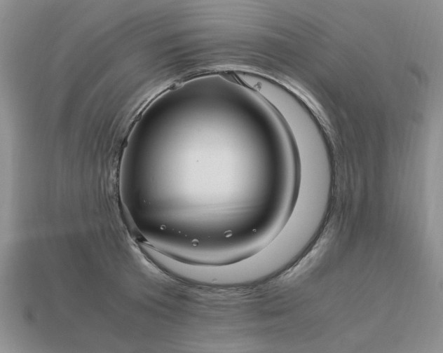 X0000113010801200909101816