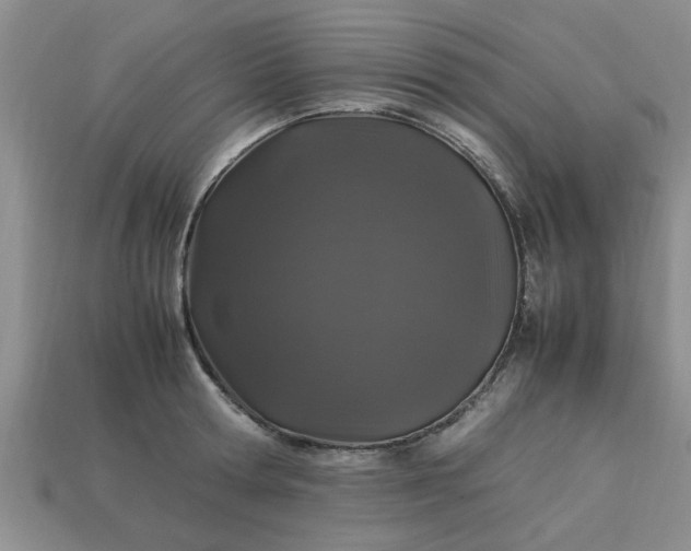 X0000113010802200909101816