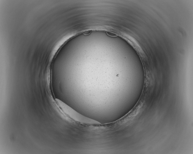 X0000113010804200909101816