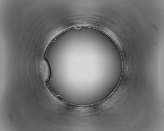 X0000113010805200909101816