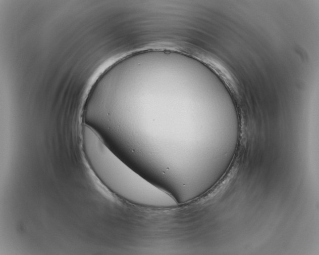 X0000113010808200909101816