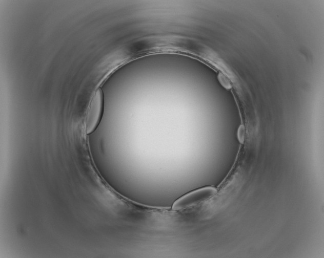 X0000113010809200909101816