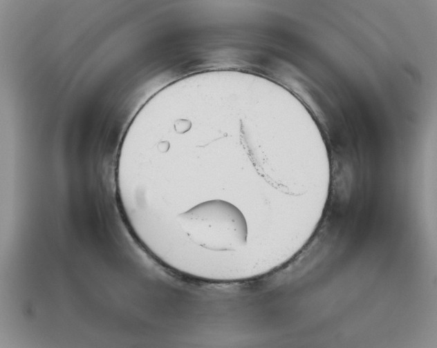 X0000113010810200909101816