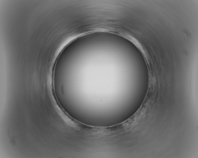 X0000113010811200909101816