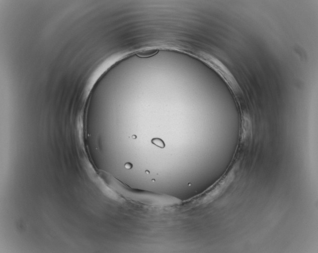 X0000113010812200909101816