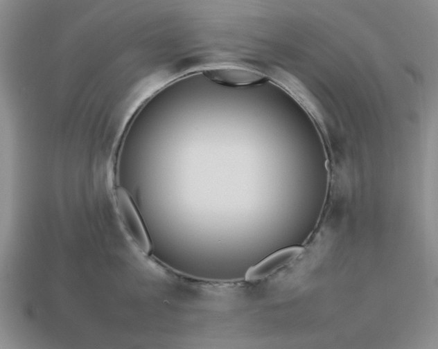 X0000113010813200909101816