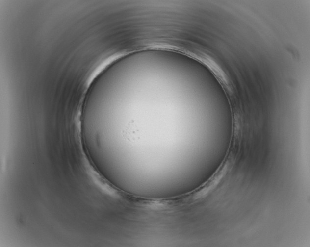 X0000113010814200909101816