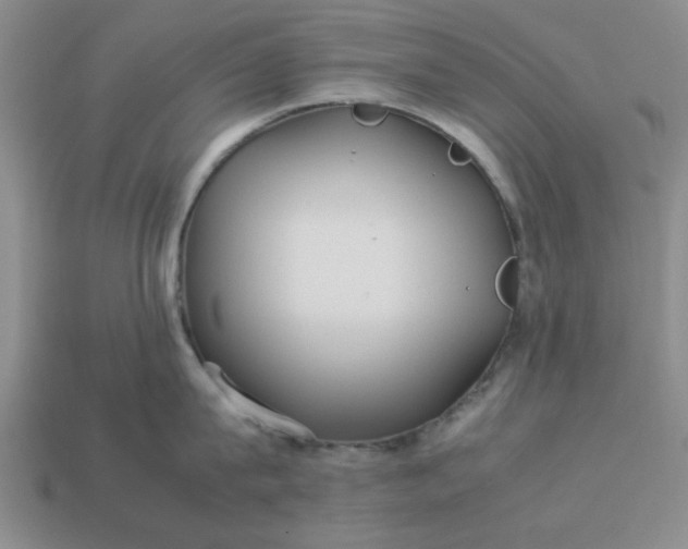 X0000113010815200909101816