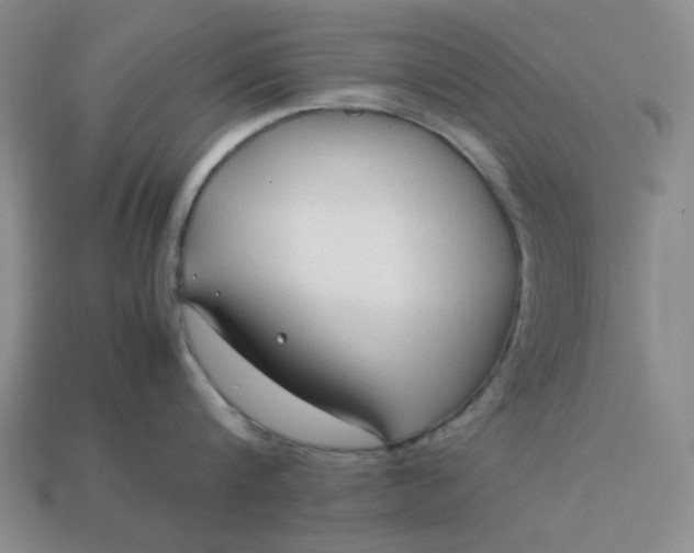 X0000113010816200909101816