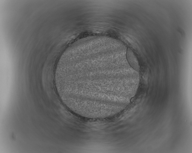 X0000113010817200909101815