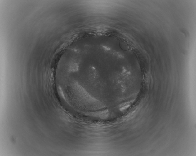 X0000113010818200909101815