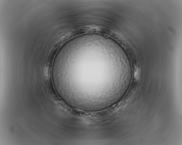 X0000113010819200909101815