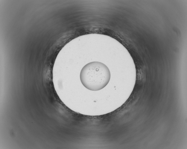 X0000113010820200909101815