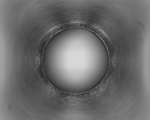 X0000113010821200909101815