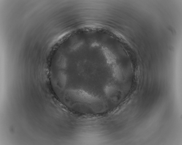 X0000113010822200909101815