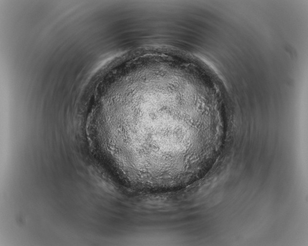 X0000113010823200909101815