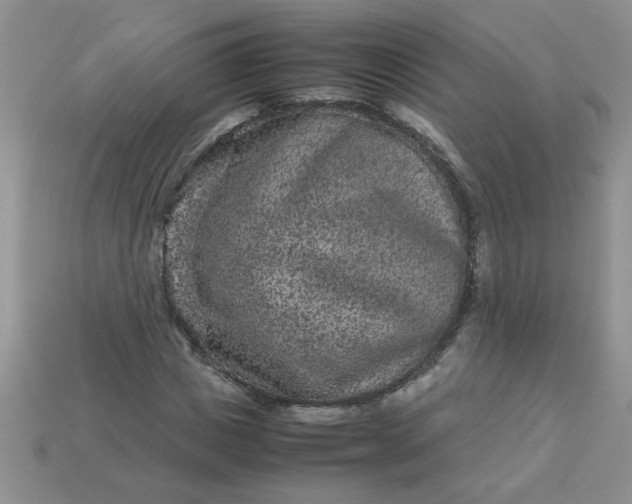 X0000113010825200909101815