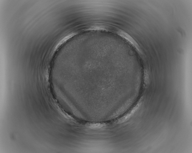 X0000113010826200909101815