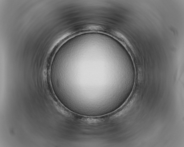 X0000113010827200909101815