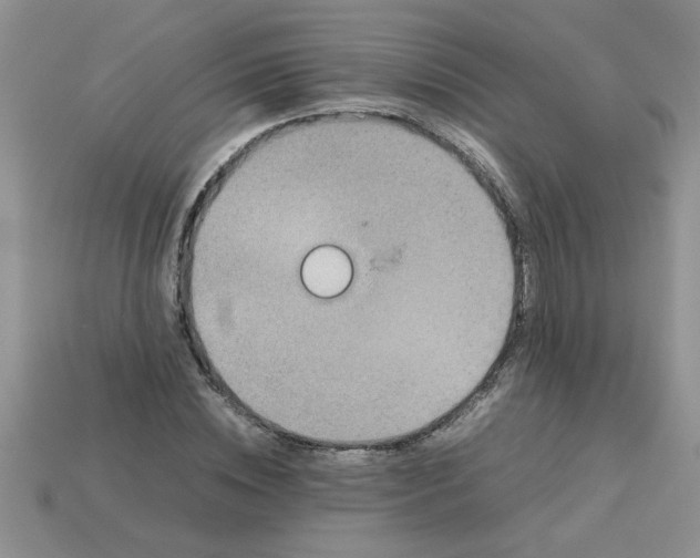 X0000113010828200909101815