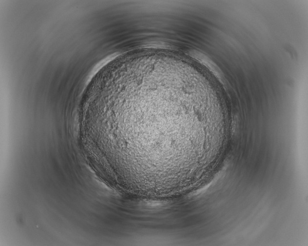 X0000113010829200909101815