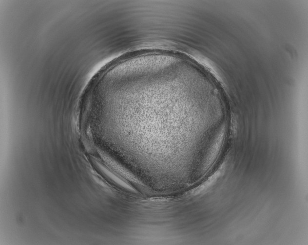 X0000113010830200909101815