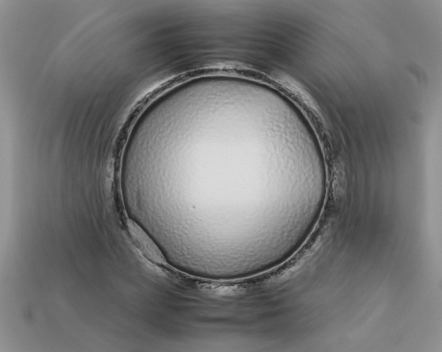 X0000113010831200909101815