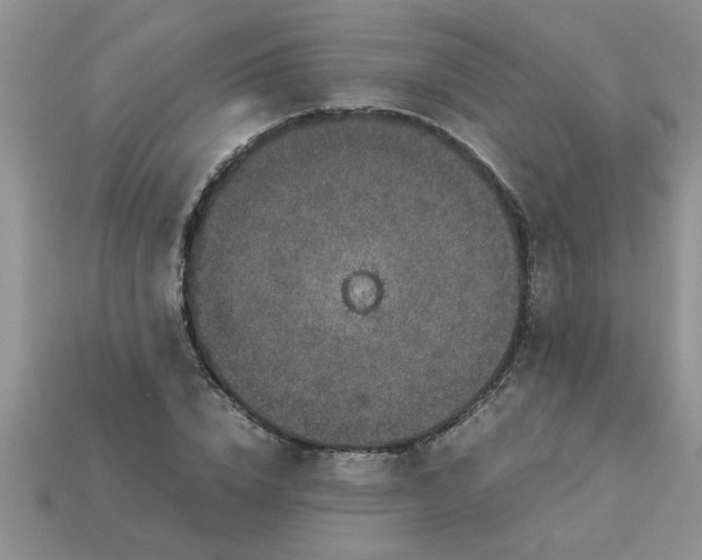 X0000113010832200909101815