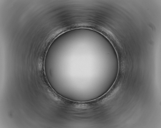 X0000113010833200909101815