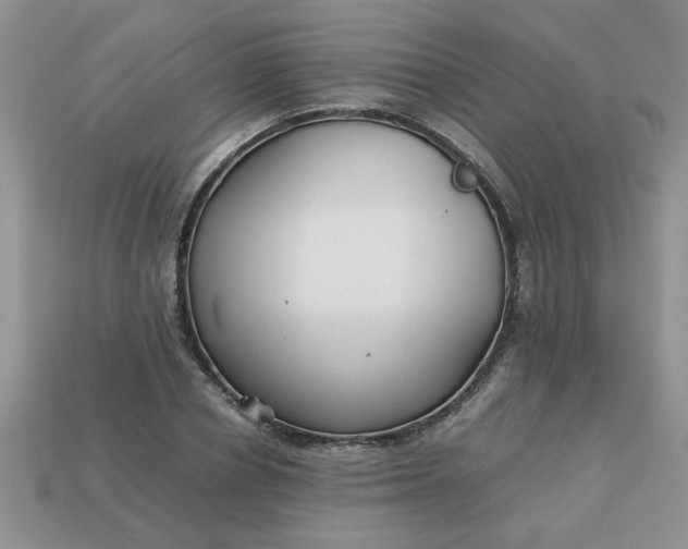 X0000113010834200909101815