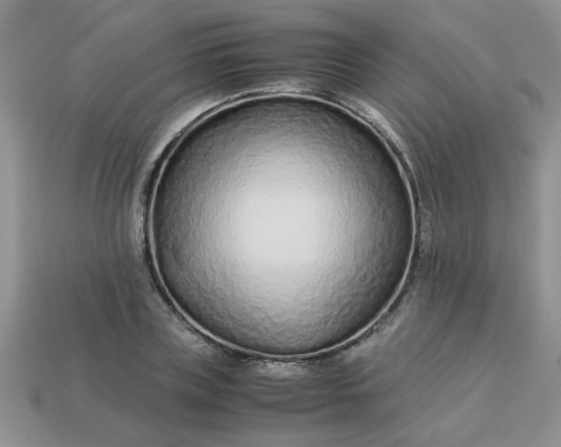 X0000113010835200909101815