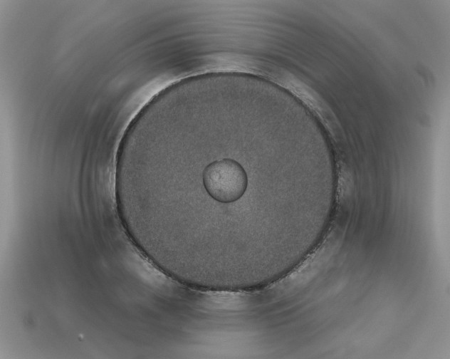 X0000113010836200909101815