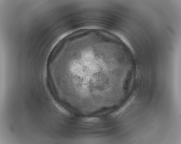 X0000113010837200909101815