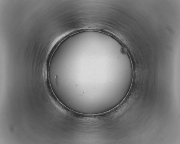 X0000113010838200909101815