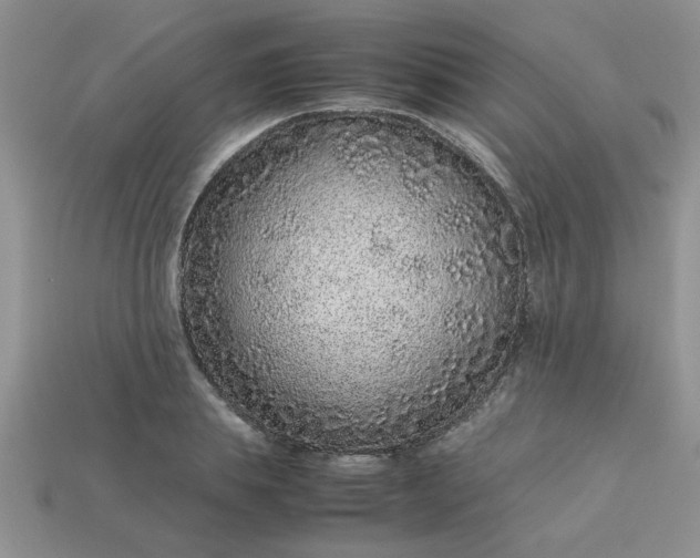 X0000113010839200909101815