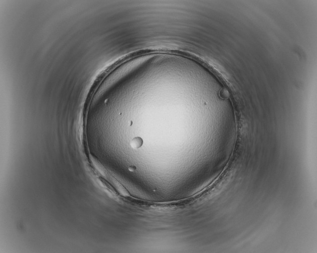 X0000113010840200909101816