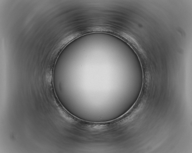 X0000113010841200909101816