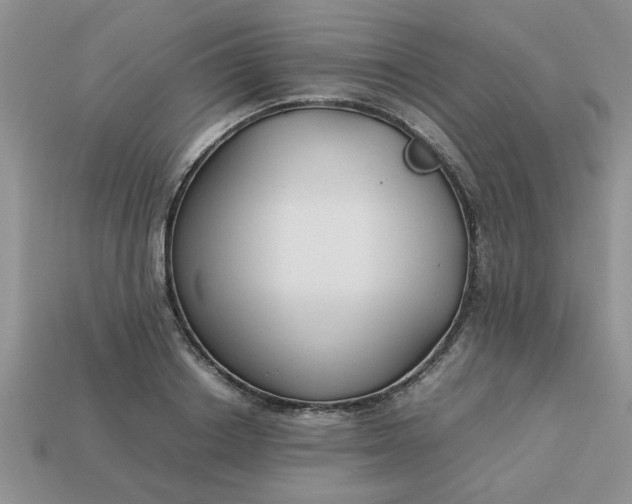 X0000113010842200909101816