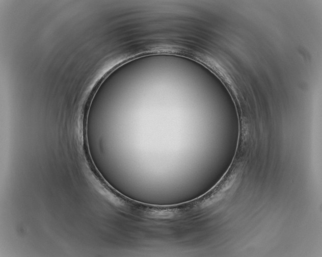 X0000113010843200909101816