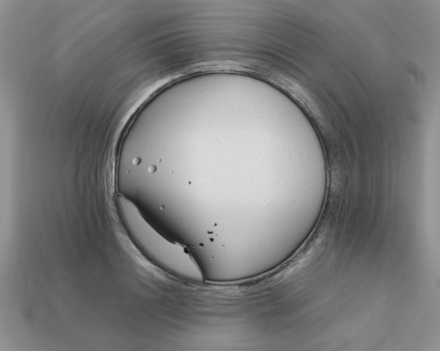 X0000113010844200909101816