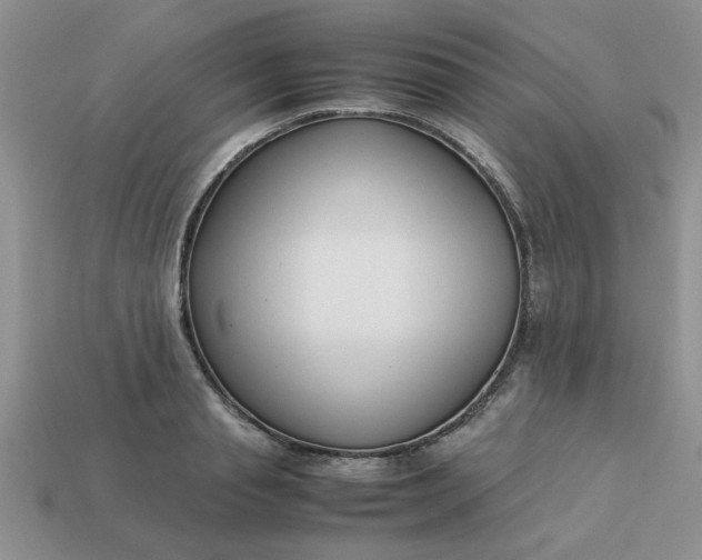 X0000113010845200909101816